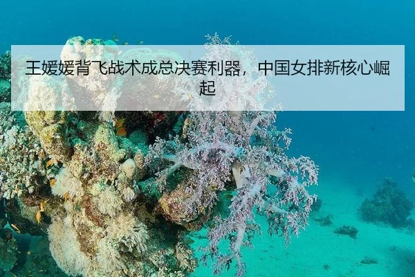 wang-yuan-yuan-bei-fei-zhan-shu-cheng-zong-jue-sai-li-qi-zhong-guo-nv-pai-xin-he-xin-jue-qi-2-969.jpg