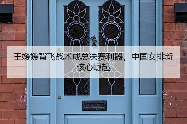 王媛媛背飞战术成总决赛利器，中国女排新核心崛起