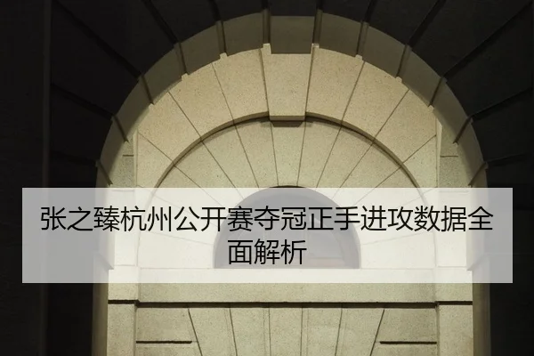 张之臻杭州公开赛夺冠正手进攻数据全面解析