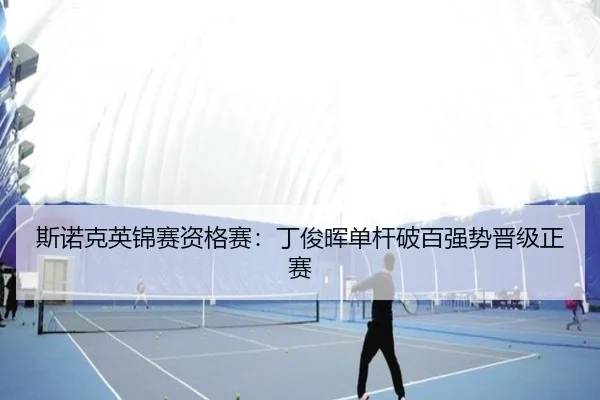 si-nuo-ke-ying-jin-sai-zi-ge-sai-ding-jun-hui-dan-gan-po-bai-qiang-shi-jin-ji-zheng-sai-3-568.jpg